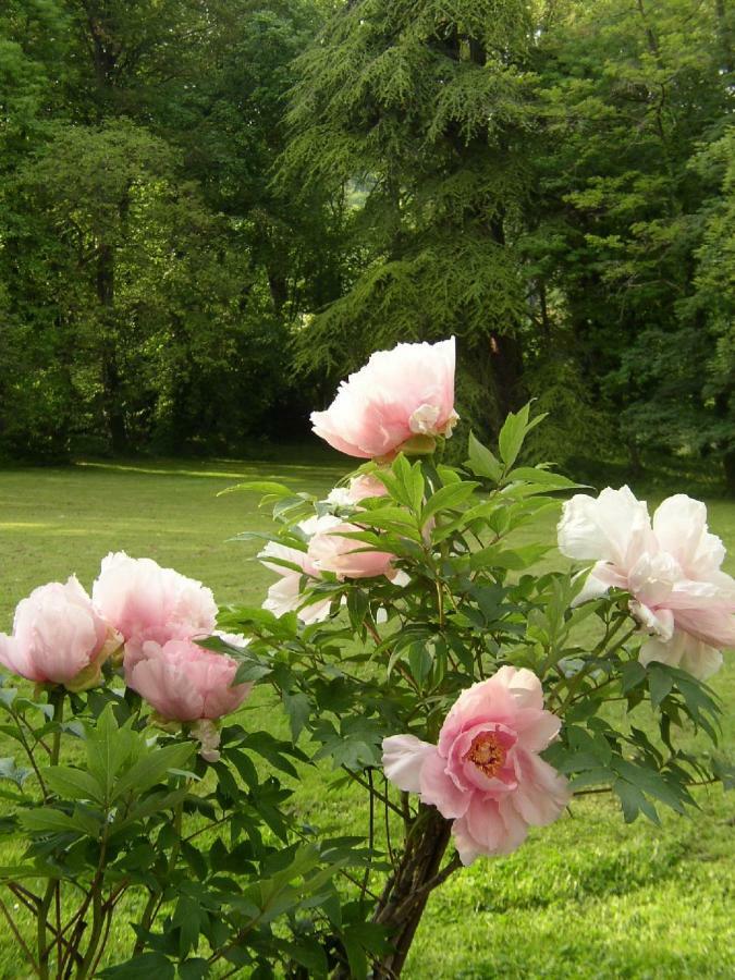 ホテル Le Domaine De Pomone Woinville エクステリア 写真